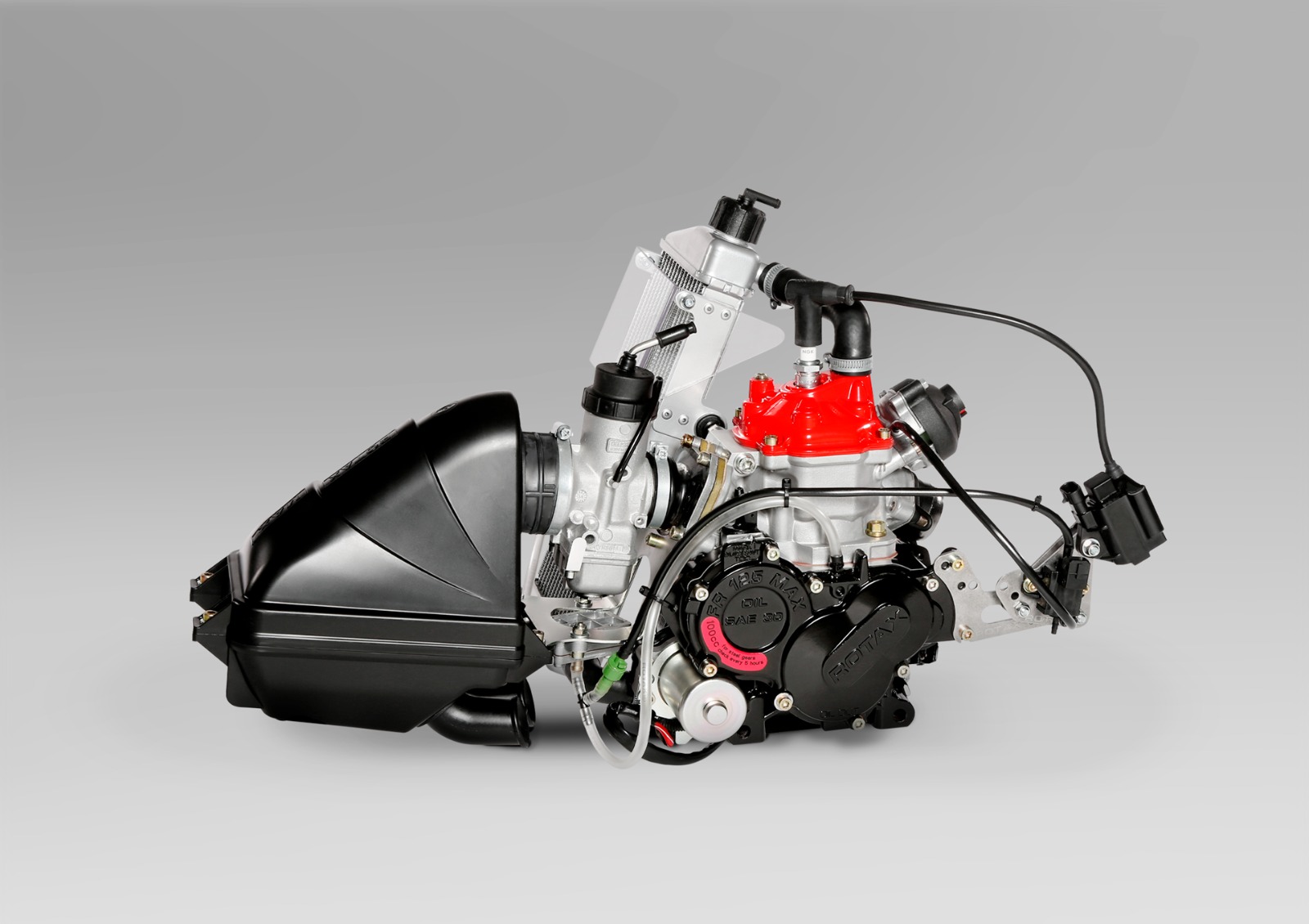 Rotax Junior Max 2-Takt Motor